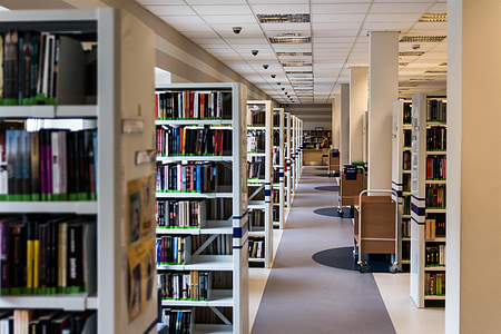 thư viện, cuốn sách, đọc, giáo dục, kiến thức, cho thuê, Kielce