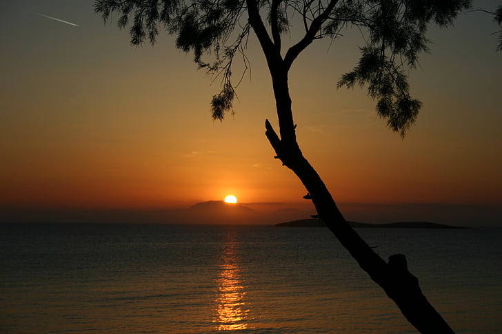 solnedgång, träd, havet, kvällen, Horisont