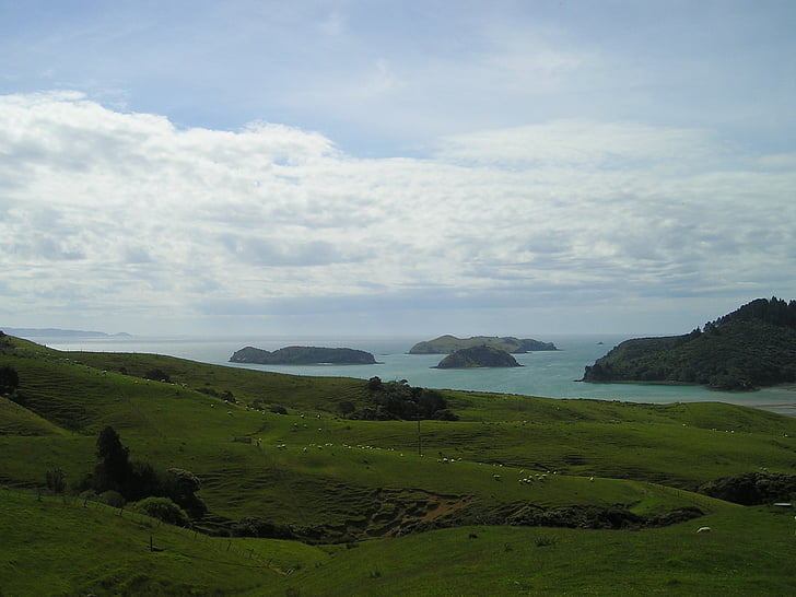 szigetek, Új-Zéland, zöld, táj, Észak-sziget