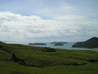 øer, New Zealand, grøn, landskab, Nordøen