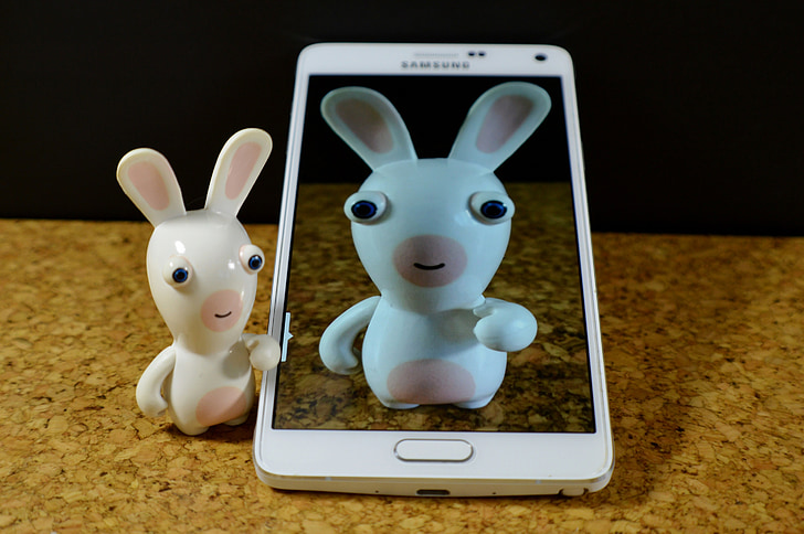 Zajac, biela, smiešny, smartphone, Samsung