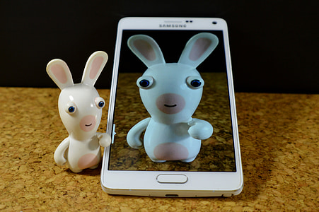 Llebre, blanc, divertit, smartphone, Samsung