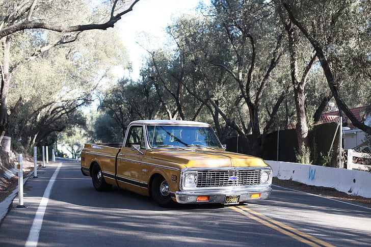 chevrolet c10, car, classic car, 1972, tree, transportation, day