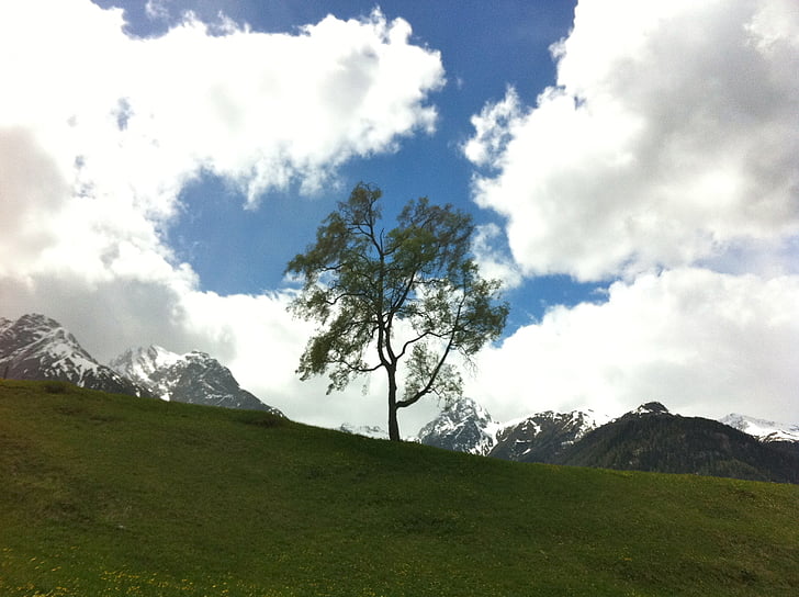 δέντρο, ουρανός, φύση, Καιρός για διάθεση, ατομικά, τοπίο, βουνό