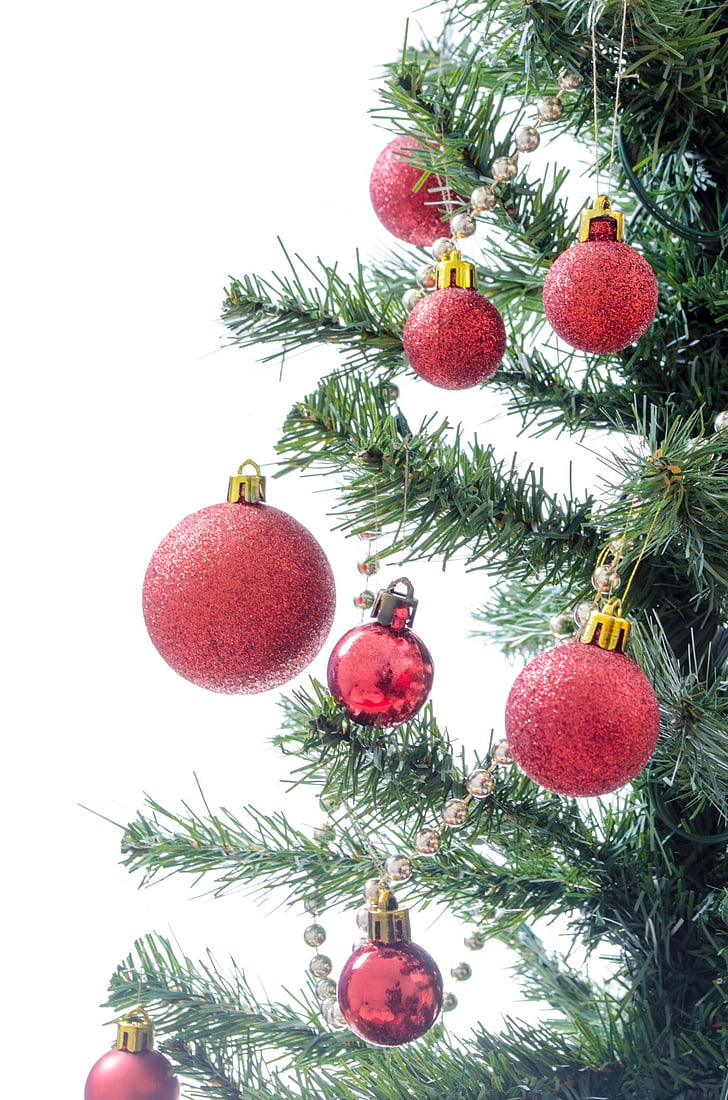 drvo, prisutni, Božić, uređena, izolirani, dekoracija, ukras