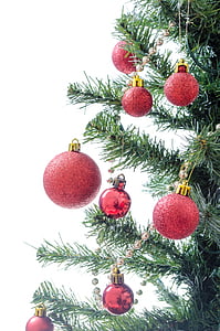 tree, present, xmas, decorated, isolated, decoration, ornament