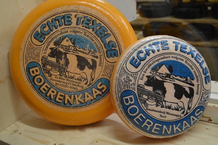 syr, Texel, Holandsko, Západ frízsky, farmár, farma, tráva