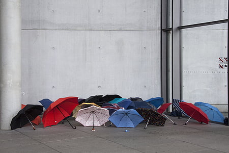 우산, 뻗어, 날씨, 비오는 날씨, 다채로운, 우산