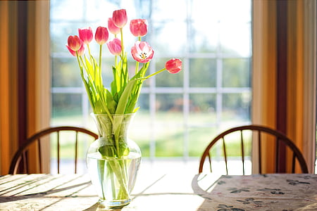 tulips, vase, spring, flowers, bouquet, pink, blossoms
