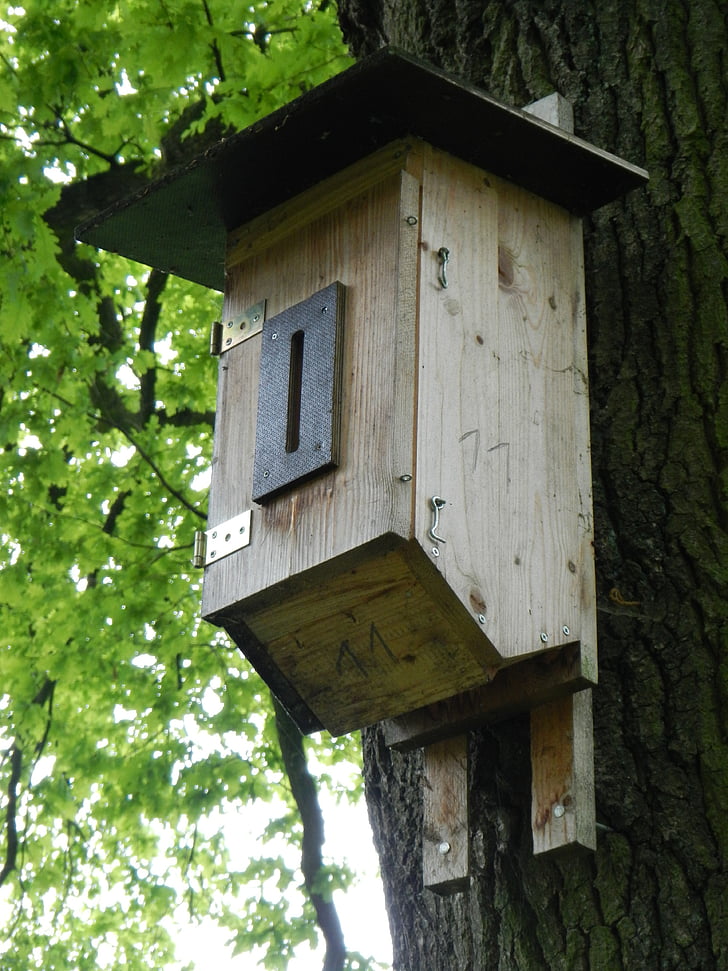 Nidal, aviario, alimentador del pájaro, árbol, lugar de anidación