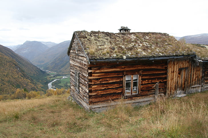 dorvefjell, Noruega, Norge, escena rural, fusta - material, vell, graner
