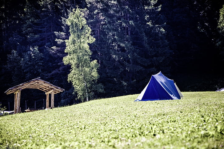 telt, Camp, Camping, Camping ferie, Overnatting, skog, eventyr