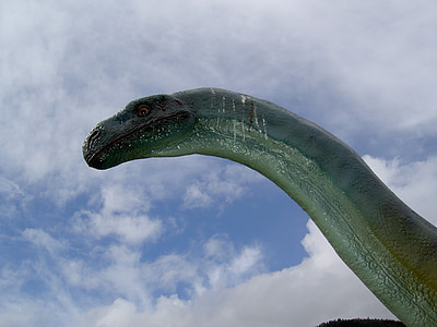 динозавр, довгий насмішка, парк
