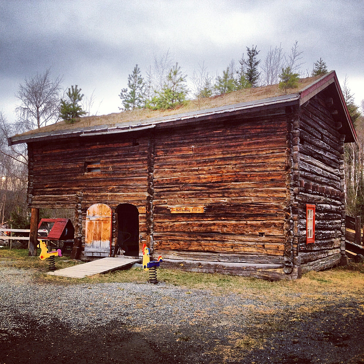cobert, barraca, cabina, fusta, Noruega, natura, casa