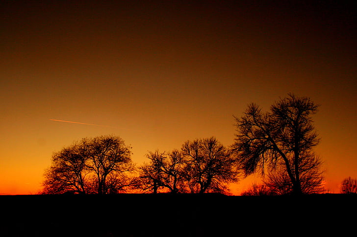 sunset, red, tree, in the evening, shadow, sky, fire