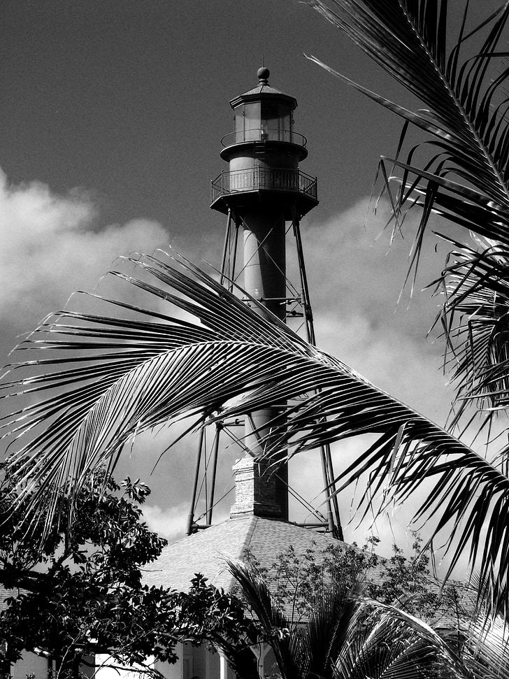 Sanibel, Lighthouse, Palm, Beach, more, Ocean, vody