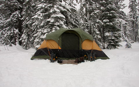 green, brown, black, tent, snowy, field, daytime