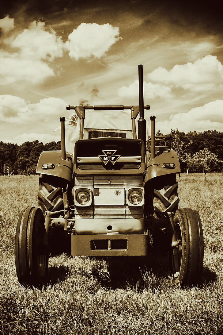 трактор, Oldtimer, Massey Ferguson Модел, стар, Селско стопанство, трактори, търговско превозно средство