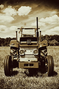 traktors, Oldtimer, Massey ferguson, vecais, lauksaimniecība, traktori, komerciāls transportlīdzeklis