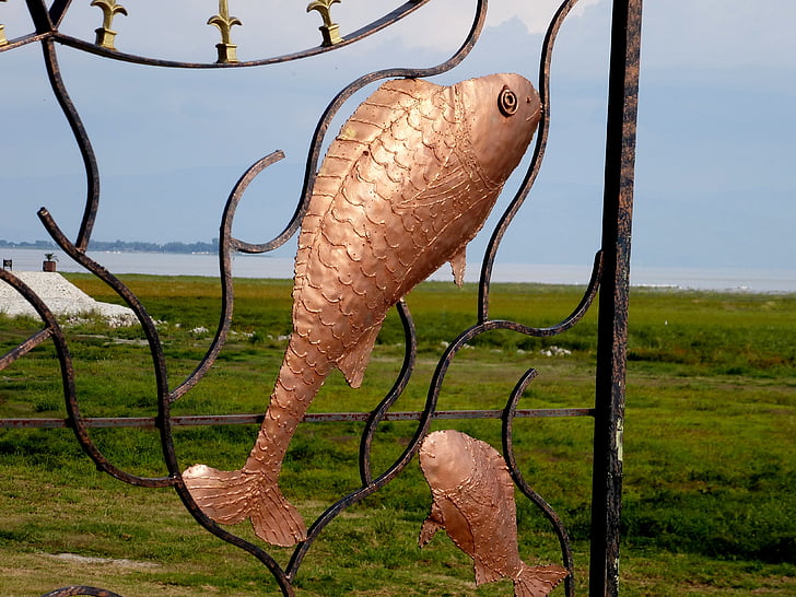 peix, Art, contorn, ferro, metall
