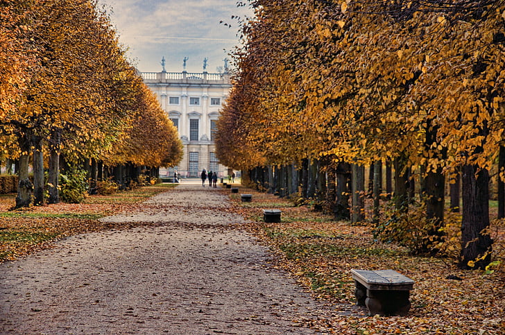 zámok charlottenburg, Zámocký park, Berlín, jeseň, Schlossgarten, hrad, Park