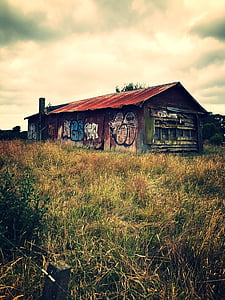 Cabana, casa, abandonat, vell, paisatge, Waikato, Nova Zelanda