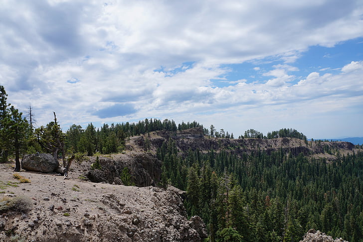 nature, forest, cliffs, landscape, outdoor, environment, natural