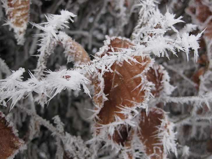 Eiskristalle, Natur, Kälte, Eis, Frost, Winter, Makro