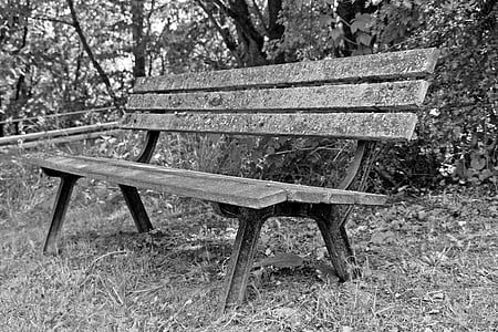 bank, wooden bench, bench, out, nature, forest, click