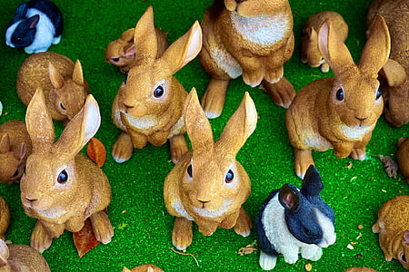 králiky, zajačik, Veľkonočné, milý, zviera, jar, biela