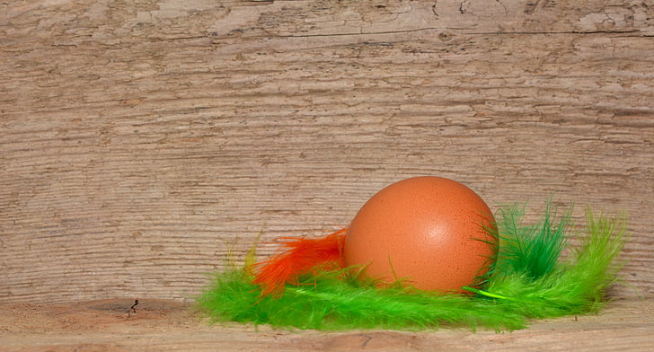фон, дървен материал, яйце, пъстри пера, перо, Великден, храна