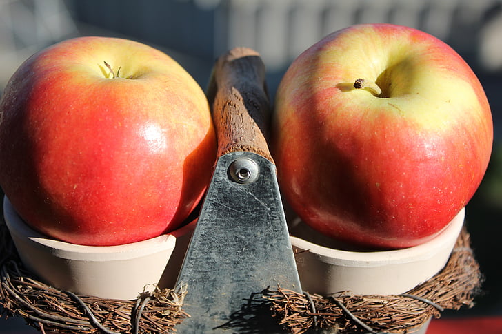 Apple, Red, natura