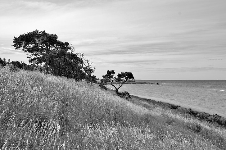 Gotland, Svédország, Beach, nyári, a tenger, SW