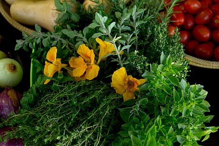 Nasturtium, húng tây, Các loại thảo mộc, thực vật, thực phẩm, bí ngô, tươi mát