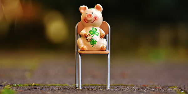 lucky pig, figure, luck, lucky charm, funny, chair, sit
