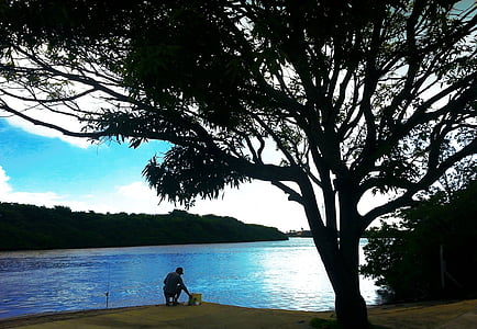 pesca, árbol, Rio