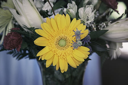 flor, flor, close-up, decoração, Flora, vaso de flor, flores