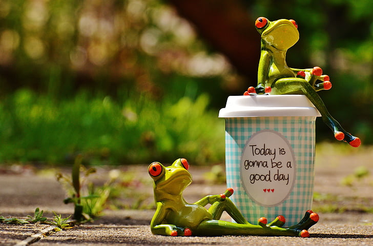 krásny deň, radosť, žaba, káva, pohár, šťastný, šťastie
