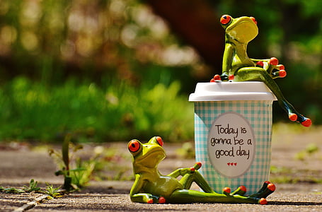 прекрасный день, Джой, лягушка, кофе, Кубок, Счастливый, счастье