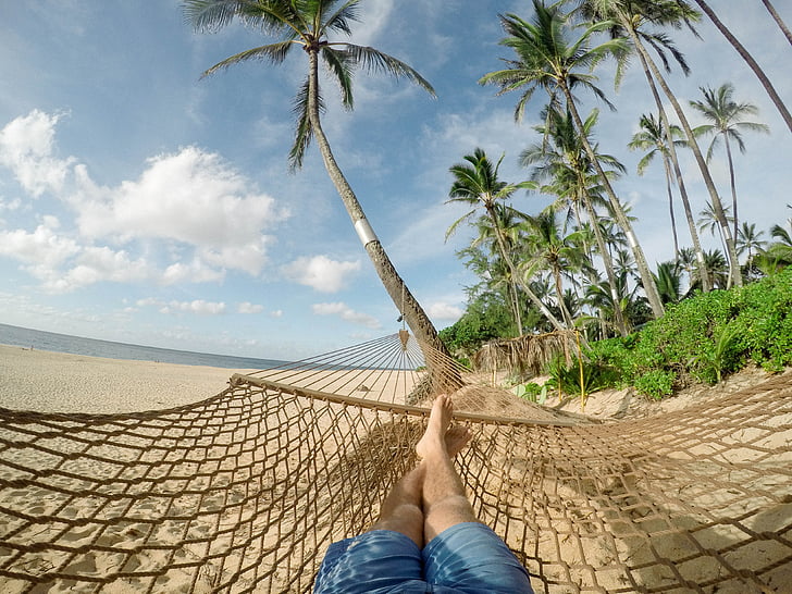 Beach, sinine taevas, pilved, Coconut puud, eksootiline, võrkkiik, Island