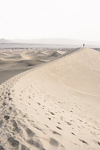oameni, om, singur, turism, aventura, Desert, pe urmele