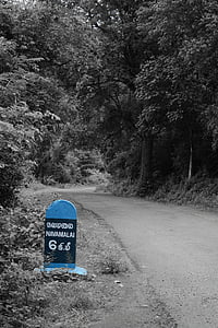 marcador de rota, estrada da floresta, navamalai, faixa, caminhada, caminhadas, trilha