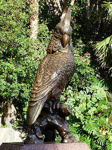 papegøye, figur, bronsestatue, dyr, dekorasjon, fuglen, fuglen figur
