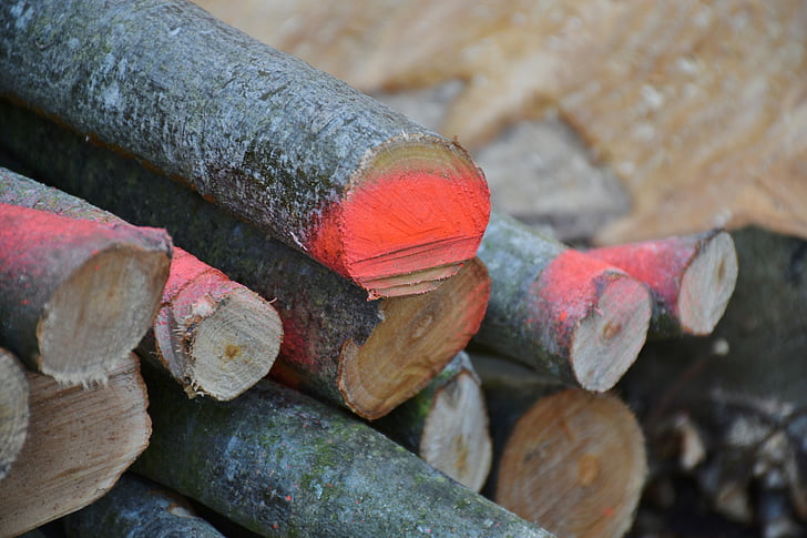 legno, legna da ardere, Holzstapel, sawed fuori, Registro, accatastati, deposito