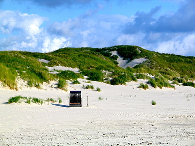 naturen, Nordsjön, stranden, Nordfriesland