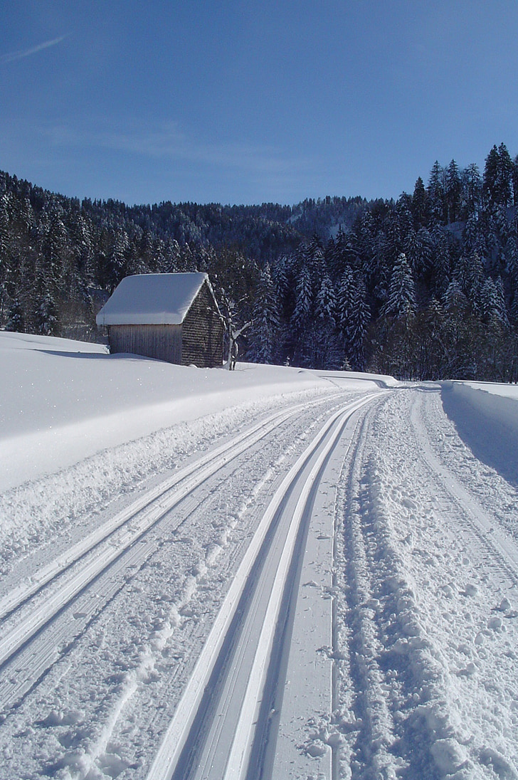 vintrig, Trail, naturen, längdskidåkning