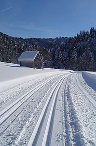 wintry, trail, nature, cross country skiing