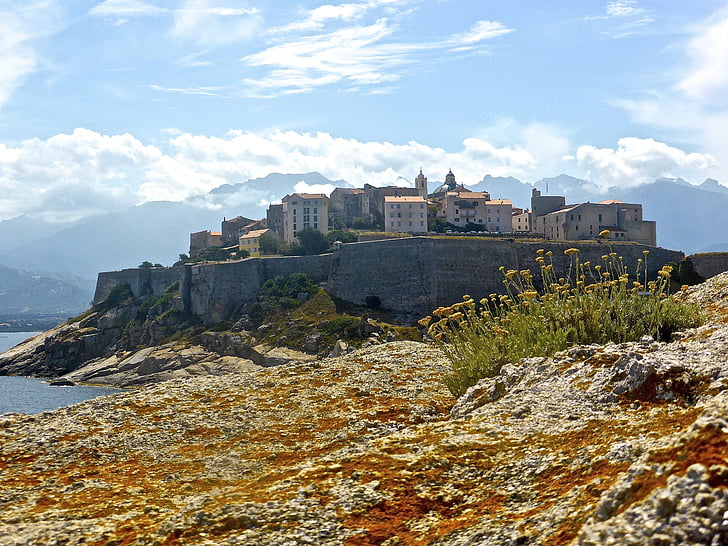 Calvi, цитадела, Корсика, крепост, древен, порт, пристанище