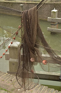solo, calze a rete, pesce, della pesca, pesca, galleggiante, maglia