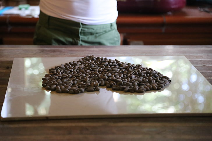 semillas de cacao crudo, chocolate, granja, orgánica, nutrición, cacao, cocao